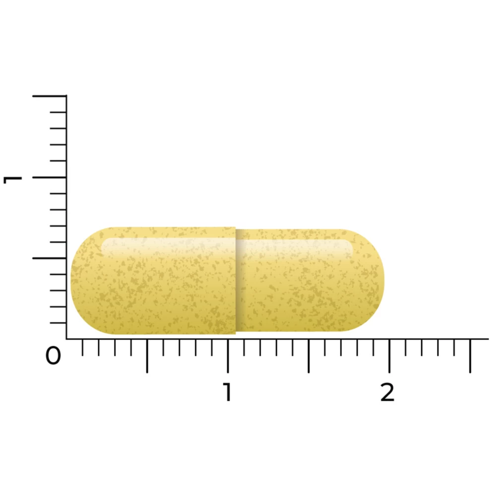 Vitakruid Quercetine 250 4 Vitakruid Quercetine 250 - Afbeelding 4