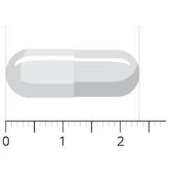 Vitals Acetyl-l-carnitine 500 Mg -Gezondheidsproducten Winkel 1023935 4