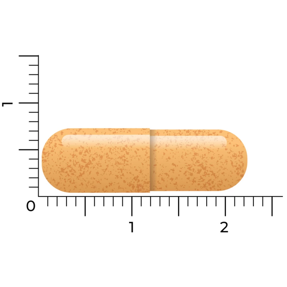 Vitakruid B-Complex Actief Zonder B6 4 Vitakruid B-Complex Actief Zonder B6 - Afbeelding 4
