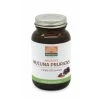 Mattisson Mucuna Pruriens Extract