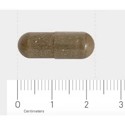 Orthica Slaap Support 7 Orthica Slaap Support -Gezondheidsproducten Winkel 1029812 4