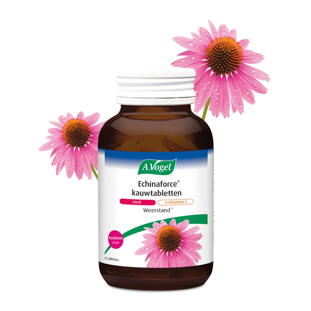 A.Vogel Echinaforce Sterk + Vitamine C 2 A.Vogel Echinaforce Sterk + Vitamine C - Afbeelding 2