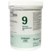Pfluger Schussler Zout Nr 9 Natrium Phosphoricum D6